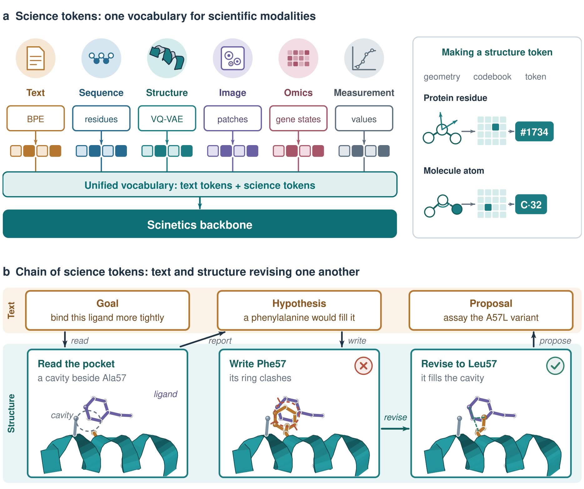 Multimodal interface for science tokens and a conceptual example of structural reasoning